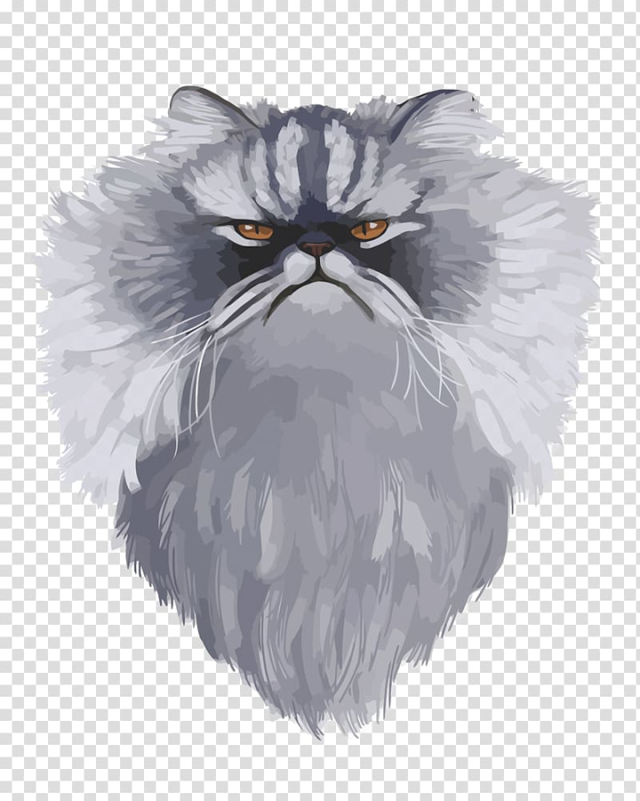 Angry Cat PNG Transparent Images Free Download, Vector Files