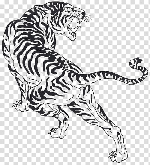 White Tiger Drawing Sketch PNG 800x800px Tiger Art Big Cats Black  Black And White Download Free