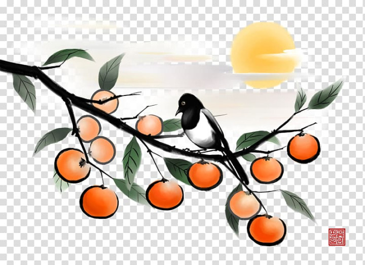 japanese,persimmon,tree,antiquity,food,tree branch,orange,branch,computer wallpaper,palm tree,pine tree,ink splash,fruit  nut,family tree,ink wash painting,persimmon tree,ripening,sun,autumn tree,birds,clouds,christmas tree,fruit,japanese persimmon,illustration,ink,png clipart,free png,transparent background,free clipart,clip art,free download,png,comhiclipart