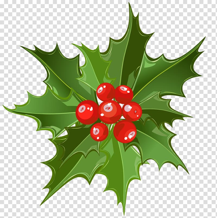 christmas,santa,claus,leaf,fruit,candy cane,kerstkrans,phoradendron tomentosum,plant,ritual of oak and mistletoe,tree,holly,aquifoliaceae,flowering plant,common holly,christmas mistletoe,christmas clipart,berry,aquifoliales,xmas clipart,mistletoe,santa claus,art - christmas,illustration,png clipart,free png,transparent background,free clipart,clip art,free download,png,comhiclipart