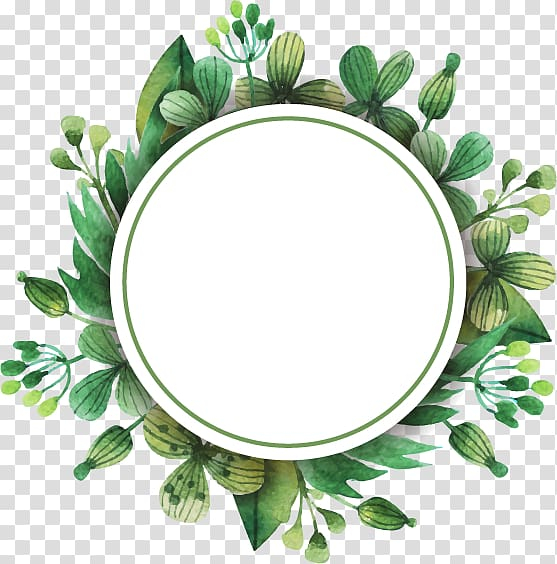 green,leaves,border,watercolor painting,frame,watercolor leaves,food,leaf,label,border frame,fall leaves,green vector,certificate border,encapsulated postscript,painted vector,wreath,border vector,dishware,floral border,poppy,gold border,nature,leaves vector,green leaves,flower,tulip,painted,round,white,floral,illustration,png clipart,free png,transparent background,free clipart,clip art,free download,png,comhiclipart