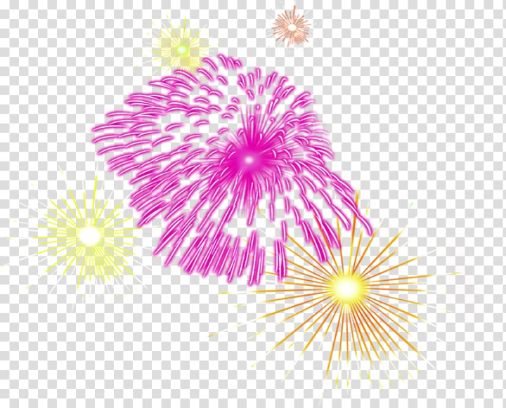 fireworks,creativity,creative,beautiful,color,purple,color splash,holidays,violet,symmetry,typeface,flower,color powder,magenta,firework,petal,pink,point,chinese new year,beauty salon,beauty,line,circle,graphic design,flowering plant,fireworks should we see it from the side or the bottom,color smoke,firecracker,png clipart,free png,transparent background,free clipart,clip art,free download,png,comhiclipart