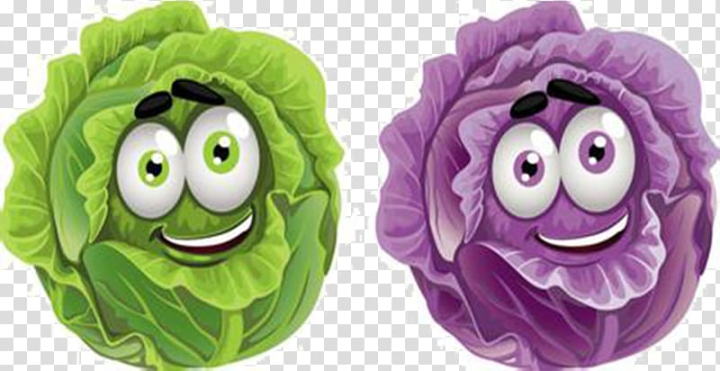 Free: Vegetable Cartoon Drawing , Cartoon cabbage transparent background  PNG clipart 