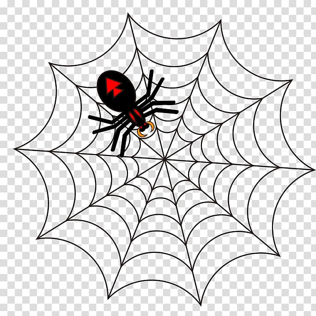 Free: Spider web Drawing , spider transparent background PNG clipart -  