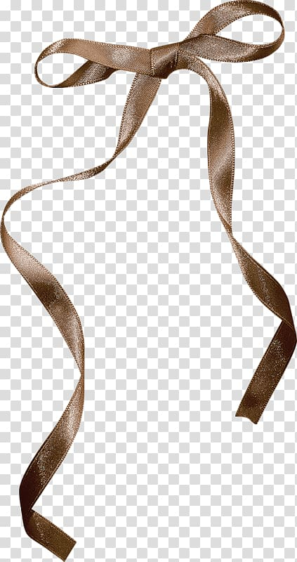 Brown Ribbon Isolated On White Background Design Element Stock