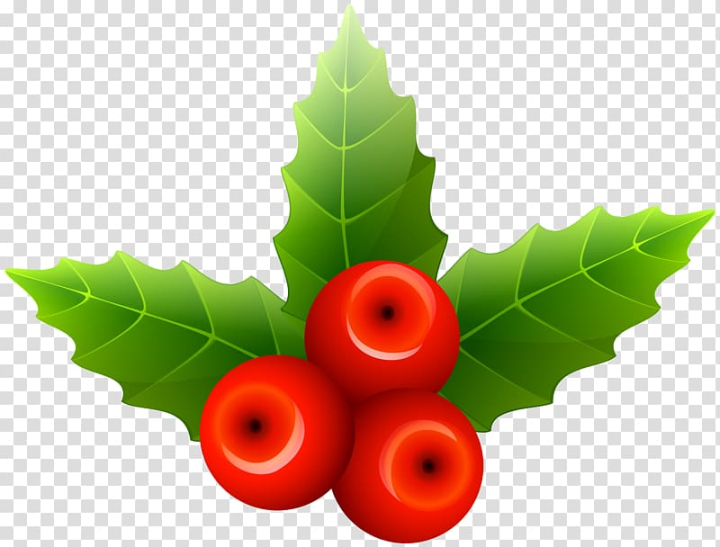 leaf,christmas decoration,fruit,santa claus,openoffice draw,phoradendron tomentosum,plant,produce,product design,aquifoliaceae,holly,gift,computer icons,common holly,christmas mistletoe,christmas clipart,xmas clipart,mistletoe,christmas,three,red,cherries,png clipart,free png,transparent background,free clipart,clip art,free download,png,comhiclipart
