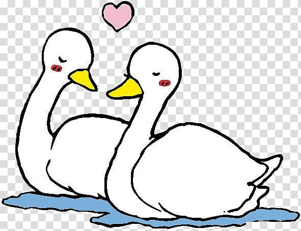 Free: Cygnini Mandarin duck Cartoon, White Swan transparent background PNG  clipart 