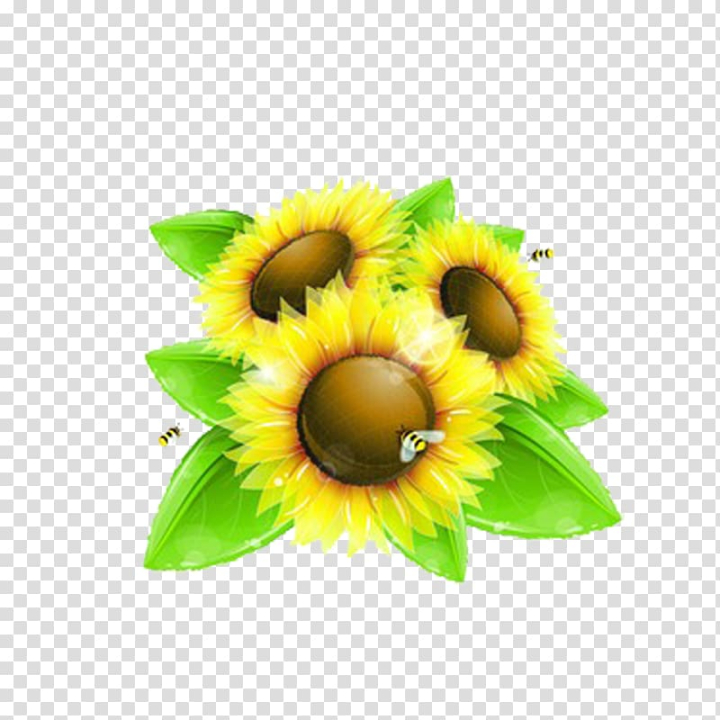 common,sunflower,honey bee,yellow flowers,sunflower seed,flower,royaltyfree,fruit,flowers,sunflowers,sunflower oil,watercolor sunflower,sunflower watercolor,plant,yellow,watercolor sunflowers,flowering plant,sunflower seeds,beautiful flowers,euclidean vector,sunflower border,beautiful,common sunflower,bee,png clipart,free png,transparent background,free clipart,clip art,free download,png,comhiclipart