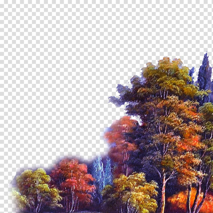 shulin,district,google,images,blue,computer,computer wallpaper,forests,forest animals,black forest,search engine,red,sky,autumn,tree,watercolor forest,nature,green,forest watercolor,forest background,forest animal,fall,yellow,shulin district,forest,google images,png clipart,free png,transparent background,free clipart,clip art,free download,png,comhiclipart