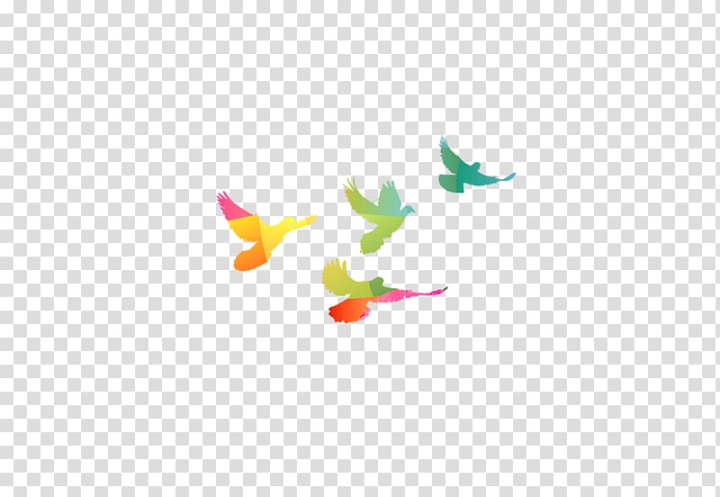 rock,dove,color,flying,color splash,animals,triangle,color pencil,computer wallpaper,colors,doves as symbols,love birds,bird cage,encapsulated postscript,sky,square,line,gratis,free,flying bird,fly,euclidean vector,designer,color smoke,birds,columbidae,rock dove,bird,flat,png clipart,free png,transparent background,free clipart,clip art,free download,png,comhiclipart