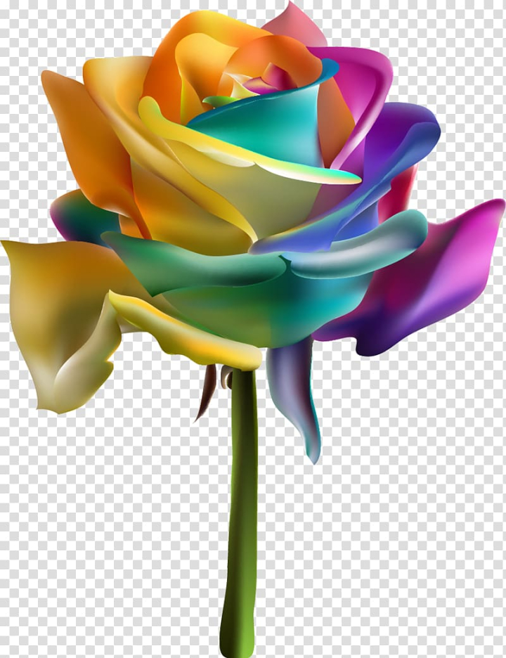 Rose Images  Free HD Backgrounds, PNGs, Vector Graphics, Illustrations &  Templates - rawpixel