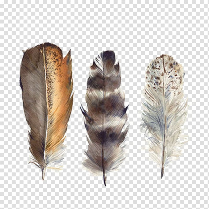 Hand drawn feathers. Sketch bird feather, retro artistic drawing ink pen  and birds feathering vector isolated. - Stock Image - Everypixel