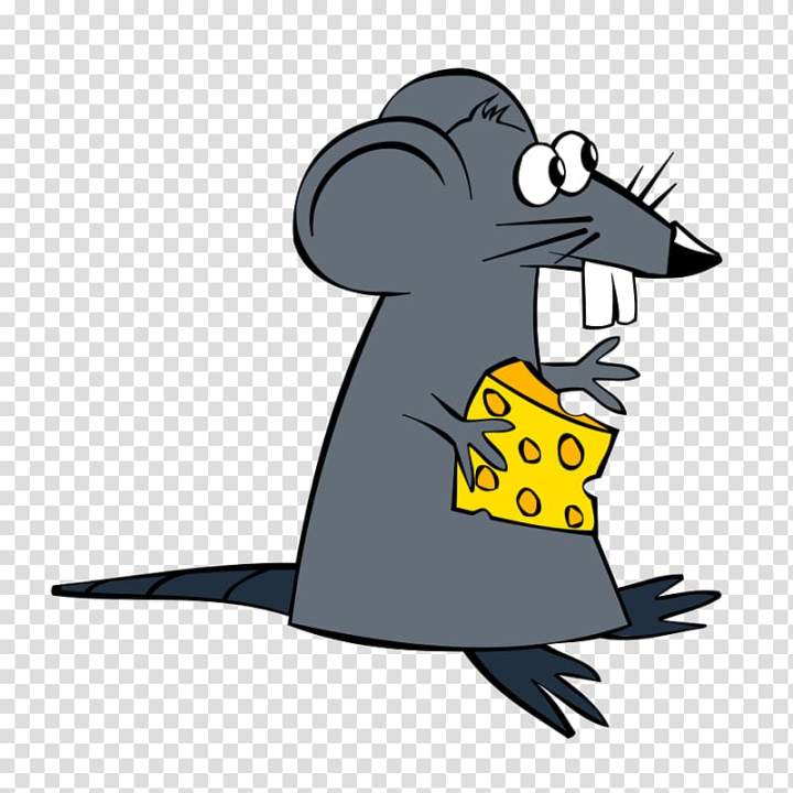 Free: Mouse Cheese sandwich , Evil Rat transparent background PNG clipart -  