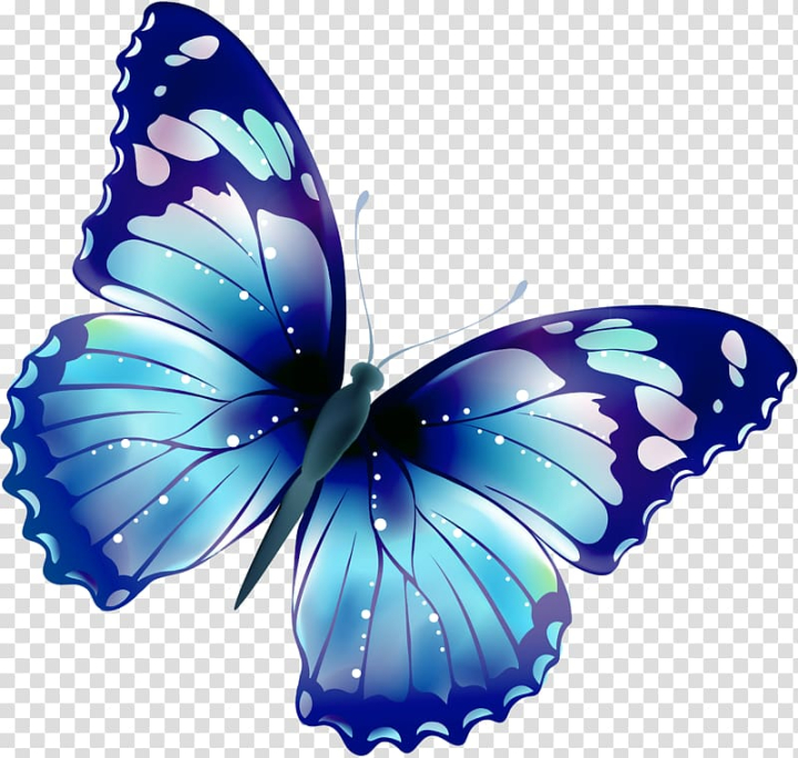 Butterfly Drawing Images  Free Photos, PNG Stickers, Wallpapers