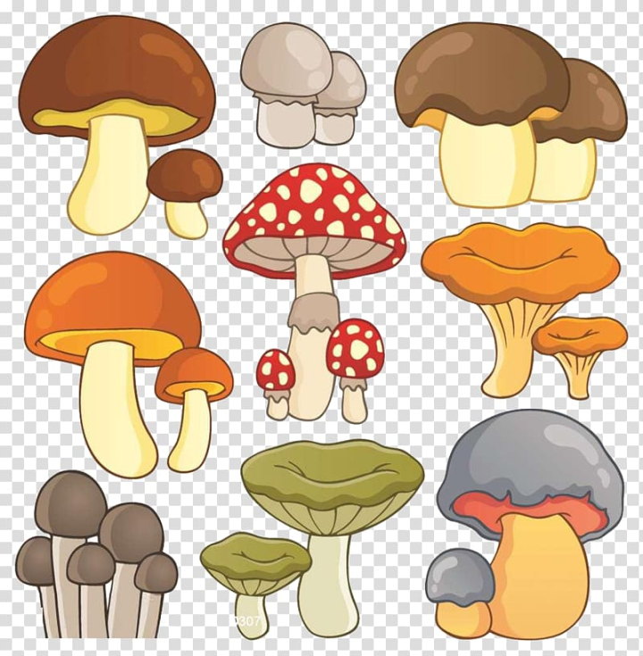 Mushroom, Blue, Werewerekokako, Fungus, Color, Drawing, Azure, transparent  background PNG clipart | HiClipart