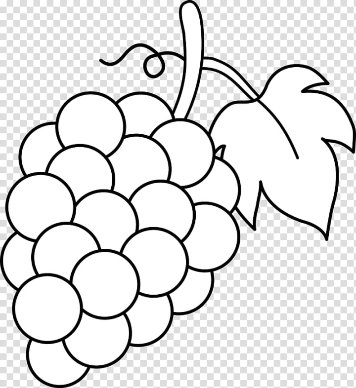 clipart grape vine