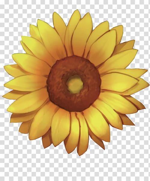 common,sunflower,sunflower seed,flower,material,daisy family,sunflowers,sunflower watercolor,watercolor sunflower,sunflower border,sunflower seeds,closeup,watercolor sunflowers,software,raster graphics,creative,flowering plant,free,gerbera,nature,petal,yellow,common sunflower,sunshine,png clipart,free png,transparent background,free clipart,clip art,free download,png,comhiclipart