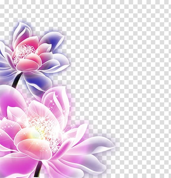 mid,autumn,festival,lotus,watercolor painting,purple,flower arranging,chinese style,poster,computer wallpaper,flower,magenta,lilac,flowers,dahlia,brilliant,traditional chinese holidays,lotus vector,midautumn festival,petal,pink,style,uba85uc808,lotus leaf,lotus lamp,lotus flower,8u670815u65e5,adobe illustrator,chinese,comic,flash light,flash light effect,floral design,floristry,flowering plant,fluorescence,8u6708,mooncake,mid-autumn festival,flash,png clipart,free png,transparent background,free clipart,clip art,free download,png,comhiclipart