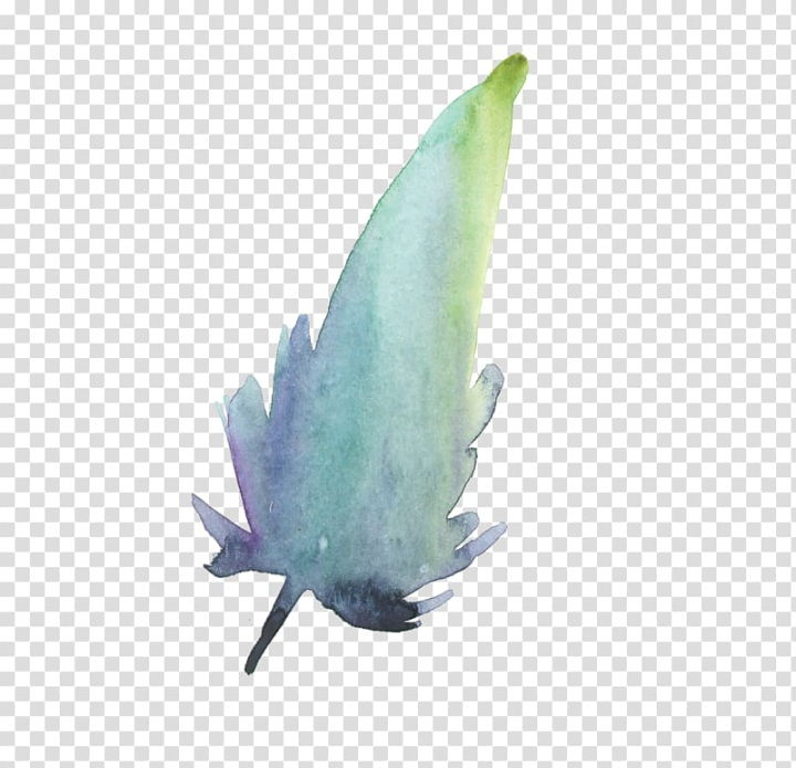 painting,watercolor,leaves,feather,blue,watercolor leaves,animals,color,fall leaves,palm leaves,painting flowers,turquoise,watercolor flower,watercolor flowers,green,flowers,watercolor painting,leaf,png clipart,free png,transparent background,free clipart,clip art,free download,png,comhiclipart