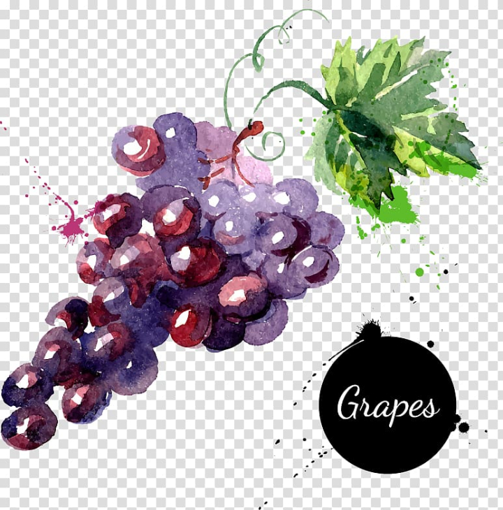 Free: Purple grapes , Grape Watercolor painting Drawing , Cartoon fruit  grapes hand-painted watercolor transparent background PNG clipart 