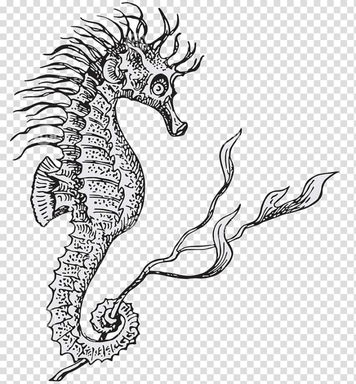 lined,seahorse,black,white,sketch,monster,animals,black hair,black white,monochrome,fictional character,symbol,mythical creature,organism,white background,sea,sea monster,visual arts,syngnathiformes,stock illustration,monochrome photography,marine organism,background black,black background,black board,drawing,euclidean vector,fish,line art,marine,white flower,lined seahorse,hippocampus,illustration,black and white,png clipart,free png,transparent background,free clipart,clip art,free download,png,comhiclipart