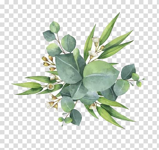 gum,trees,euclidean,leaf,flower,green,leaves,plants,watercolor painting,watercolor leaves,hand,branch,fall leaves,cartoon,green tea,wreath,flowerpot,decorate,watercolor flowers,watercolor flower,tree,stock photography,plant,green leaf,green leaves,nature,gum trees,euclidean vector,leaf flower,watercolor,png clipart,free png,transparent background,free clipart,clip art,free download,png,comhiclipart