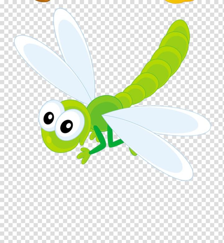 Free: Dragonfly Insect , dragonfly transparent background PNG clipart -  