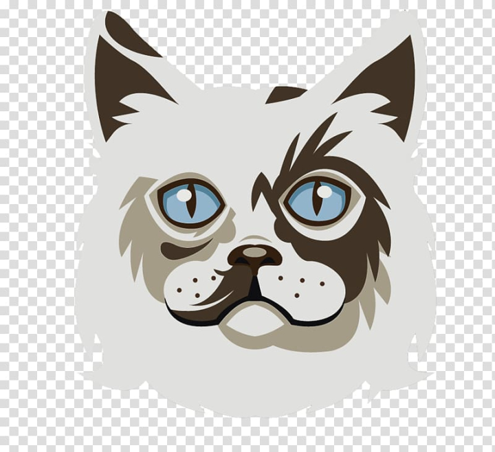 Aesthetic Pngs  Cat icon, Baby animals, Cats and kittens