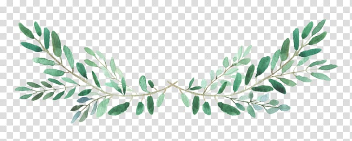 Free: Green leaf illustration, Instagram Video YouTube, instagram  transparent background PNG clipart 