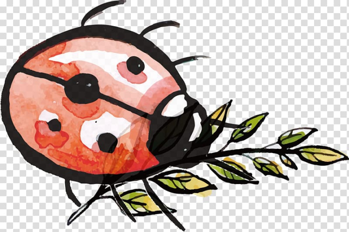 Watercolor Clipart Insect Ladybug Png Graphic by