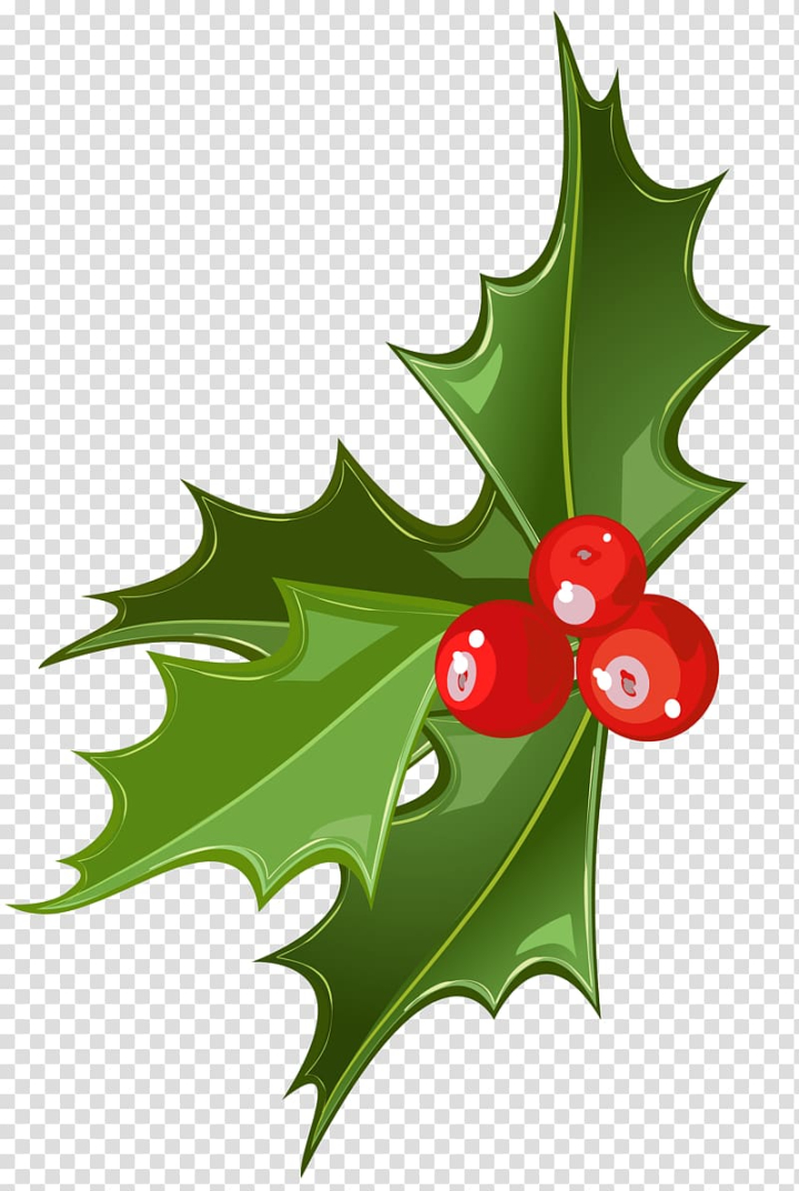 christmas,common,holly,green,leaf,red,berry,illustration,fruit,candy cane,christmas village,joulukukka,phoradendron tomentosum,plant,tree,viscum,aquifoliaceae,flowering plant,flora,christmas ornament,christmas mistletoe,christmas clipart,aquifoliales,xmas clipart,mistletoe,common holly,art - christmas,png clipart,free png,transparent background,free clipart,clip art,free download,png,comhiclipart