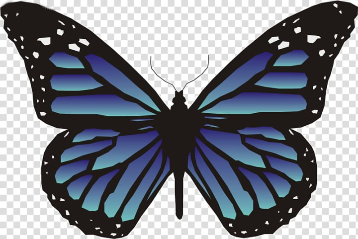 Free: Butterfly Animation , blue butterfly transparent background PNG  clipart 