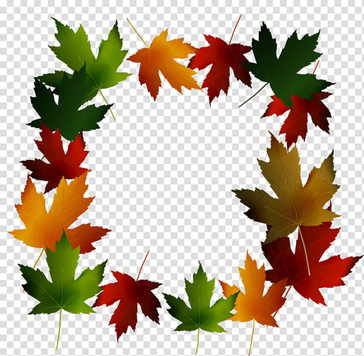 maple,leaf,green,falling,frame,border,texture,golden frame,maple leaf,trendy frame,border frame,gold frame,christmas frame,border texture,tree,leave the png,library,plant,software framework,photo frame,leave,leaf frame,leaf and petals,border frames,canadian gold maple leaf,down,euclidean vector,falling down,floral frame,flowering plant,gratis,background,png clipart,free png,transparent background,free clipart,clip art,free download,png,comhiclipart