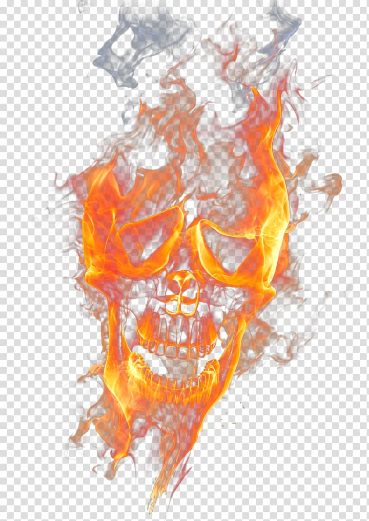 fire,flame,orange,computer wallpaper,combustion,abstract,smoke,word,creative background,skulls,flaming,blue flame,cranial,raging,flame word,background,raging fire,skeleton,spark,mars,jaw,creative,fantasy,bone,flame png,flames,cranial skeleton,flame border,skull,fire flame,illustration,png clipart,free png,transparent background,free clipart,clip art,free download,png,comhiclipart