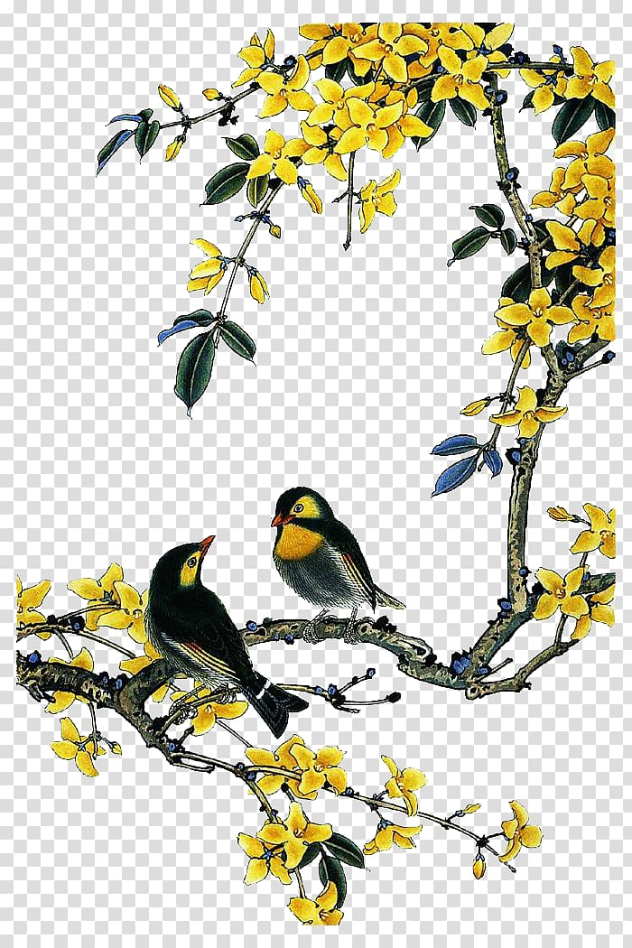 bird,flower,painting,chinese,flowers,birds,watercolor painting,animals,chinese style,branch,fauna,twig,ink wash painting,graphic design,pink flower,squid,tree,watercolor flower,watercolor flowers,flower vector,flower pattern,beak,birdandflower painting,calligraphy,chinese new year,chinese painting flowers and birds,drawing,flora,floral design,yellow,bird-and-flower painting,chinese painting,two,black,gray,png clipart,free png,transparent background,free clipart,clip art,free download,png,comhiclipart