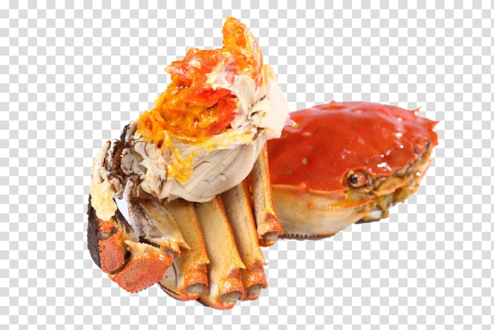 yangcheng,lake,large,crab,chinese,mitten,hairy,crabs,food,animals,seafood,orange,encapsulated postscript,animal source foods,crab meat,tonic,lakes,red king crab,autumn,crab cartoon,yangcheng lake,king crab,junk food,decapoda,dish,dungeness crab,cartoon crab,euclidean vector,fast food,cangrejo,crab vector,yangcheng lake large crab,chinese mitten crab,png clipart,free png,transparent background,free clipart,clip art,free download,png,comhiclipart