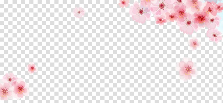 Sakura Fabric PNG, Vector, PSD, and Clipart With Transparent Background for  Free Download