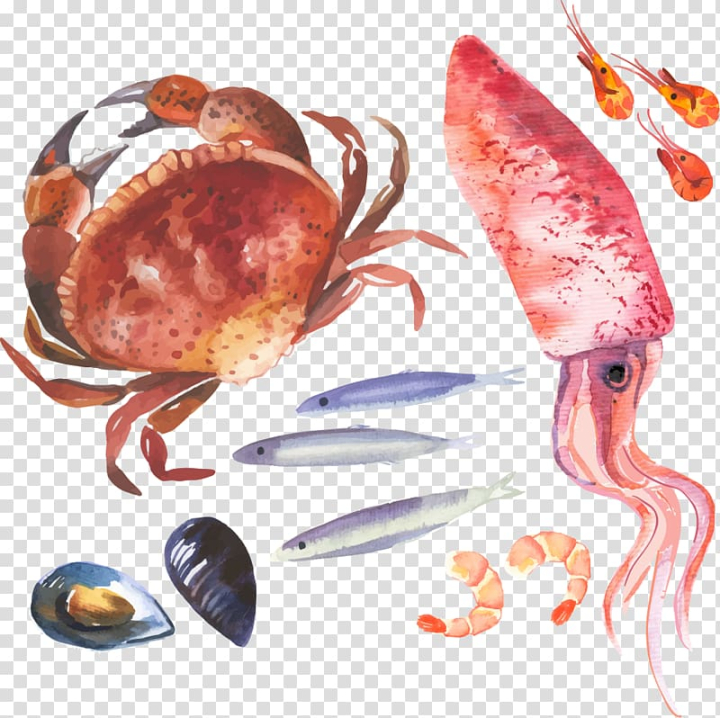 watercolor,painting,squid,food,animals,seafood,poster,happy birthday vector images,royaltyfree,animal source foods,decapoda,vector crab,squid vector,squid cartoon,shrimp,blue squid,cartoon crab,cartoon squid,organism,meat,crab cartoon,crab vector,crabs,drawing,lobster,crab,watercolor painting,illustration,png clipart,free png,transparent background,free clipart,clip art,free download,png,comhiclipart