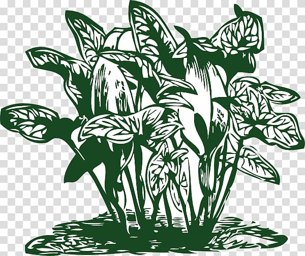 Green Vine Border Clip Art at  - vector clip art online, royalty  free & public domain