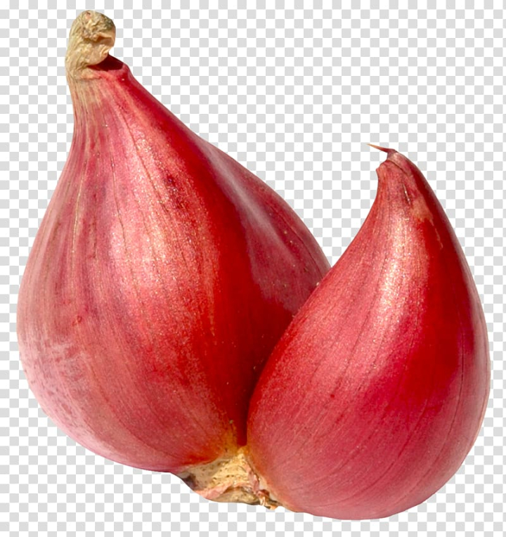 Red Shallot PNG Transparent Images Free Download, Vector Files