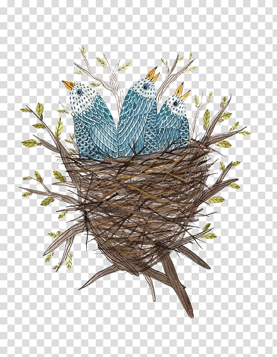 birds,nest,bird,watercolor,painting,blue,animals,branch,twig,love birds,bird cage,feather,creative,watercolor bird,twig nest,blue birds,handpainted nest,handpainted,flying bird,flowerpot,bluebird,edible birds nest,creative nest,fledge,edible,birds nest,bird nest,watercolor painting,bird\'s nest,png clipart,free png,transparent background,free clipart,clip art,free download,png,comhiclipart