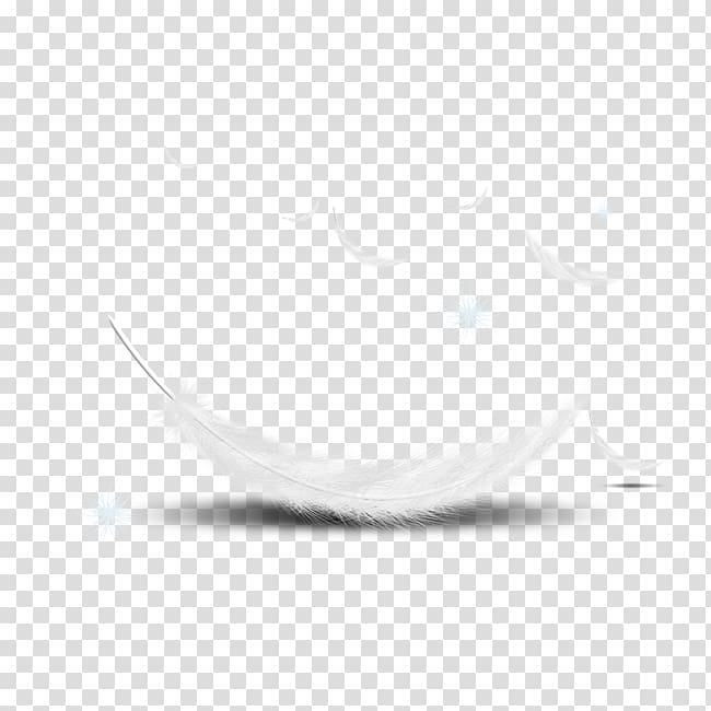 floating,feather,white,texture,animals,rectangle,peacock feather,monochrome,feathers,encapsulated postscript,golden feather,feather pen,white feathers,square,watercolor feather,plume,monochrome photography,line,black and white,circle,element,euclidean vector,feathers falling,float,floating feather,adobe illustrator,the floating feather,white feather,illustration,png clipart,free png,transparent background,free clipart,clip art,free download,png,comhiclipart