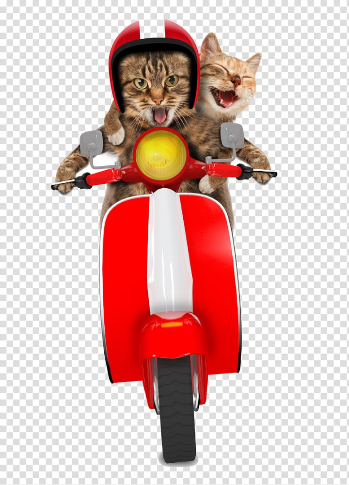 greeting,card,christmas,bicycle,motorcycle vector,motorcycle cartoon,car,happy birthday vector images,fictional character,motorcycle helmet,cartoon motorcycle,motorcycles,vespa,toy,stock photography,cars,holiday,motorcycle racing,vintage motorcycle,scooter,cat,greeting card,christmas card,moped,motorcycle,gray,tabby,cats,png clipart,free png,transparent background,free clipart,clip art,free download,png,comhiclipart