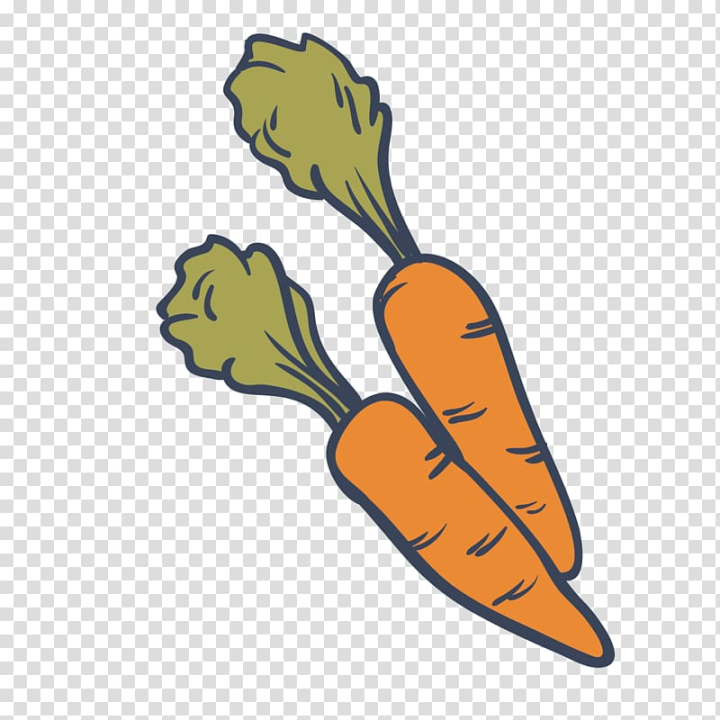 doodle freehand sketch drawing of carrot vegetable. 11651372 PNG
