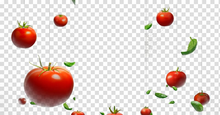 Free: Red tomatoes, Cherry tomato Hamburger Vegetable, tomato transparent background  PNG clipart 