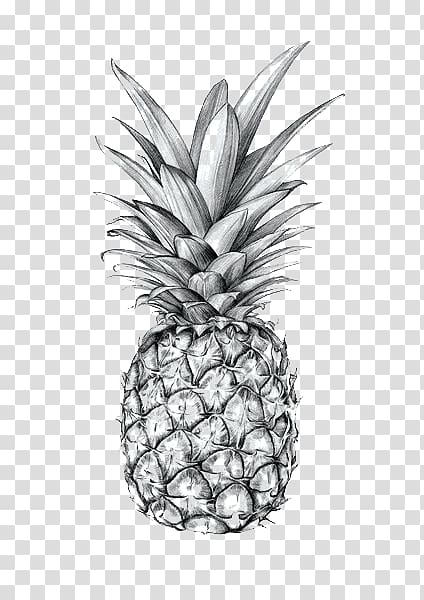 Happy Pineapple Drawing, Wallpaper Pineapple,' Sticker | Spreadshirt