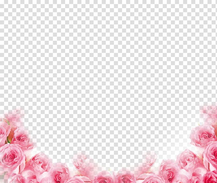 A Small Pink White Flower, Pink, Fresh Flowers, Beautiful PNG Transparent  Image and Clipart for Free Download