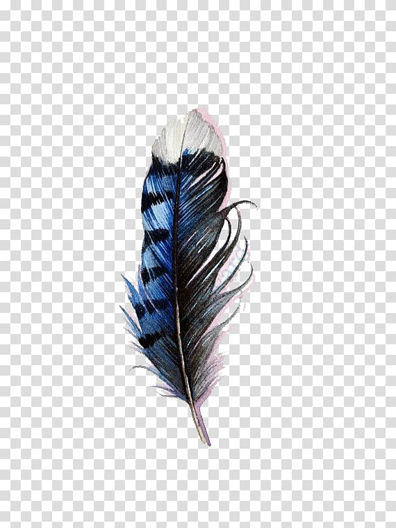 Free: Blue and black feather decor, Bird Tattoo Feather Blue jay Watercolor  painting, Blue watercolor feathers transparent background PNG clipart 