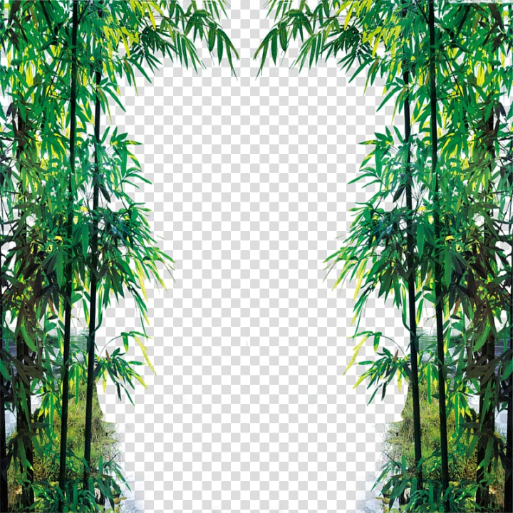 euclidean,chinese style,branch,landscape,bamboo leaves,grass,bamboo leaf,encapsulated postscript,uncharted,forest,bamboo frame,green,hoards,nature,tree,pattern,style,plant,bamboe,gaming,fukei,bamboo 19 0 1,bamboo border,bamboo forest,bamboo tree,chinese,computer icons,falling bamboo leaves,vegetation,euclidean vector,icon,bamboo,fam,leafed,frame,png clipart,free png,transparent background,free clipart,clip art,free download,png,comhiclipart