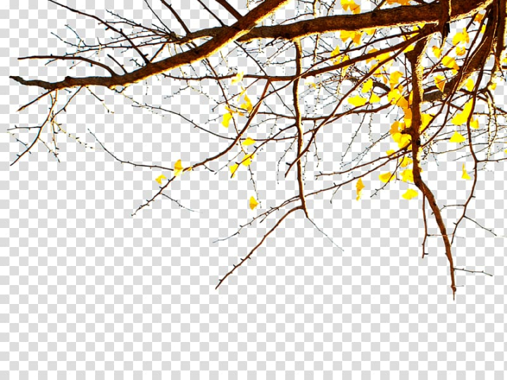 Twig Clipart Vector, A Twig, Branch, Deadwood, Branches And Leaves PNG  Image For Free Download